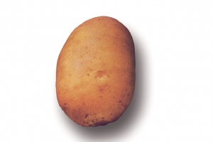 Kartoffeln Viktoria mehlig 1 kg